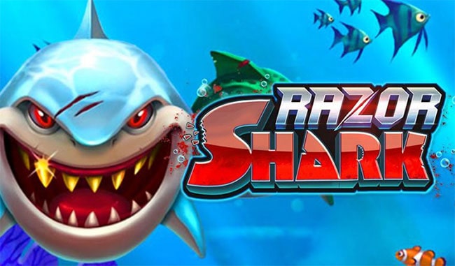 Razor Shark（レイザーシャーク）